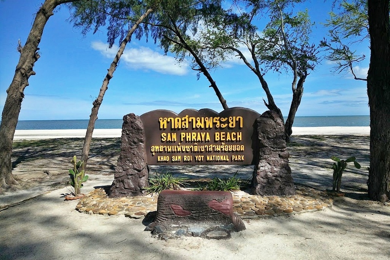 beachgoers, bueng bua nature education center, camping, cha-am-hua hin, crocodile show, drip rim lay, elastic walking, elephants show, flaming milk tea, fresh seafood, haad sam phraya, hin walking street, hua hin district, hua hin night market, hua hin safari & adventure park, huay mongkol temple, instagram spot, kaeng krachan national park, khao dang viewpoint, khao hin lek fai, khao hin lek fai view point, khao sam roi yot national park, khao takiab beach, khao tao reservoir, ladder walking, leisurely stroll, luxurious options, memory house, memory house cafe huahin, near bangkok, pa la-u waterfall, panoramic view, phraya nakron cave, popular seaside, prachuap khiri khan, pranburi dam, pranburi forest park, pranburi river, rajabhakti park, regent beach, rope climbing, sai noi beach, sam phraya beach, seen space hua hin, skoop beach cafe hua hin, suan son beach, suan son pradipat, suan son pradiphat, thao kosa forest park, three sugar palms, three sugar palms at paknam pran, tigers show, top seacret beach cafe, tree top adventure park huahin, vana nava water jungle, vana varin resort, wat khao takiab, zip lines, จุดชมวิว เขาหินเหล็กไฟ, ชายหาดหัวหิน, ซีนสเปซ หัวหิน, ตลาดชิเคด้า, ตลาดแทมมารีน, ตลาดโต้รุ่งหัวหิน, ถนนคนเดินหัวหิน, ที่เที่ยวหัวหิน, ที่เที่ยวหัวหิน 2024, ที่เที่ยวหัวหิน 2565, ที่เที่ยวหัวหิน 2567, วัดห้วยมงคล, วัดเขาตะเกียบ, สถานีรถไฟหัวหิน, สวนน้ำ วานา นาวา, สวนน้ำ วานา นาวา วอเตอร์ จังเกิ้ล, สวนสนประดิพัทธ์, หัวหิน, หัวหิน 2024, หัวหิน 2567, หาดสวนสน, หาดหัวหิน, หาดเขาตะเกียบ, อ่างเก็บน้ำเขาเต่า, อุทยานราชภักดิ์, เที่ยวหัวหิน, top 30+ ที่เที่ยวหัวหิน ยอดฮิต [กรกฎาคม 2024] พักผ่อนใกล้กรุง ผ่อนคลายไปกับธรรมชาติ