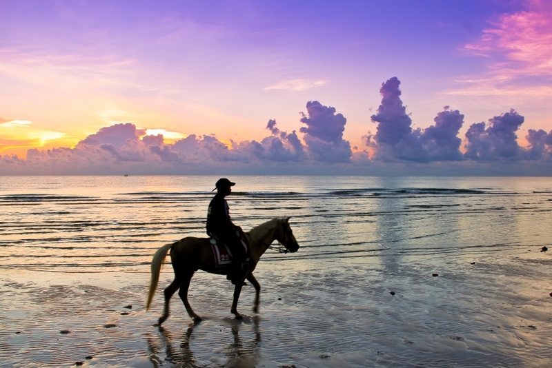 beachgoers, bueng bua nature education center, camping, cha-am-hua hin, crocodile show, drip rim lay, elastic walking, elephants show, flaming milk tea, fresh seafood, haad sam phraya, hin walking street, hua hin district, hua hin night market, hua hin safari & adventure park, huay mongkol temple, instagram spot, kaeng krachan national park, khao dang viewpoint, khao hin lek fai, khao hin lek fai view point, khao sam roi yot national park, khao takiab beach, khao tao reservoir, ladder walking, leisurely stroll, luxurious options, memory house, memory house cafe huahin, near bangkok, pa la-u waterfall, panoramic view, phraya nakron cave, popular seaside, prachuap khiri khan, pranburi dam, pranburi forest park, pranburi river, rajabhakti park, regent beach, rope climbing, sai noi beach, sam phraya beach, seen space hua hin, skoop beach cafe hua hin, suan son beach, suan son pradipat, suan son pradiphat, thao kosa forest park, three sugar palms, three sugar palms at paknam pran, tigers show, top seacret beach cafe, tree top adventure park huahin, vana nava water jungle, vana varin resort, wat khao takiab, zip lines, จุดชมวิว เขาหินเหล็กไฟ, ชายหาดหัวหิน, ซีนสเปซ หัวหิน, ตลาดชิเคด้า, ตลาดแทมมารีน, ตลาดโต้รุ่งหัวหิน, ถนนคนเดินหัวหิน, ที่เที่ยวหัวหิน, ที่เที่ยวหัวหิน 2024, ที่เที่ยวหัวหิน 2565, ที่เที่ยวหัวหิน 2567, วัดห้วยมงคล, วัดเขาตะเกียบ, สถานีรถไฟหัวหิน, สวนน้ำ วานา นาวา, สวนน้ำ วานา นาวา วอเตอร์ จังเกิ้ล, สวนสนประดิพัทธ์, หัวหิน, หัวหิน 2024, หัวหิน 2567, หาดสวนสน, หาดหัวหิน, หาดเขาตะเกียบ, อ่างเก็บน้ำเขาเต่า, อุทยานราชภักดิ์, เที่ยวหัวหิน, top 30+ ที่เที่ยวหัวหิน ยอดฮิต [กรกฎาคม 2024] พักผ่อนใกล้กรุง ผ่อนคลายไปกับธรรมชาติ