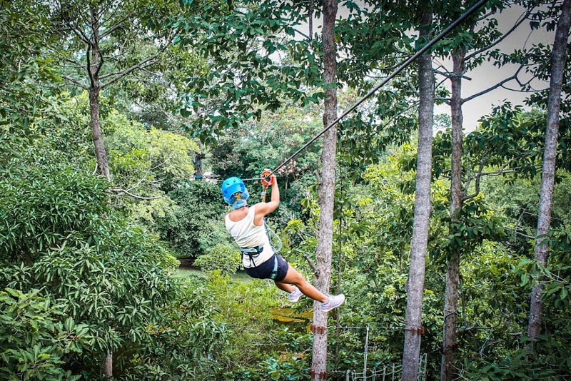 beachgoers, bueng bua nature education center, camping, cha-am-hua hin, crocodile show, drip rim lay, elastic walking, elephants show, flaming milk tea, fresh seafood, haad sam phraya, hin walking street, hua hin district, hua hin night market, hua hin safari & adventure park, huay mongkol temple, instagram spot, kaeng krachan national park, khao dang viewpoint, khao hin lek fai, khao hin lek fai view point, khao sam roi yot national park, khao takiab beach, khao tao reservoir, ladder walking, leisurely stroll, luxurious options, memory house, memory house cafe huahin, near bangkok, pa la-u waterfall, panoramic view, phraya nakron cave, popular seaside, prachuap khiri khan, pranburi dam, pranburi forest park, pranburi river, rajabhakti park, regent beach, rope climbing, sai noi beach, sam phraya beach, seen space hua hin, skoop beach cafe hua hin, suan son beach, suan son pradipat, suan son pradiphat, thao kosa forest park, three sugar palms, three sugar palms at paknam pran, tigers show, top seacret beach cafe, tree top adventure park huahin, vana nava water jungle, vana varin resort, wat khao takiab, zip lines, จุดชมวิว เขาหินเหล็กไฟ, ชายหาดหัวหิน, ซีนสเปซ หัวหิน, ตลาดชิเคด้า, ตลาดแทมมารีน, ตลาดโต้รุ่งหัวหิน, ถนนคนเดินหัวหิน, ที่เที่ยวหัวหิน, ที่เที่ยวหัวหิน 2024, ที่เที่ยวหัวหิน 2565, ที่เที่ยวหัวหิน 2567, วัดห้วยมงคล, วัดเขาตะเกียบ, สถานีรถไฟหัวหิน, สวนน้ำ วานา นาวา, สวนน้ำ วานา นาวา วอเตอร์ จังเกิ้ล, สวนสนประดิพัทธ์, หัวหิน, หัวหิน 2024, หัวหิน 2567, หาดสวนสน, หาดหัวหิน, หาดเขาตะเกียบ, อ่างเก็บน้ำเขาเต่า, อุทยานราชภักดิ์, เที่ยวหัวหิน, top 30+ ที่เที่ยวหัวหิน ยอดฮิต [กรกฎาคม 2024] พักผ่อนใกล้กรุง ผ่อนคลายไปกับธรรมชาติ