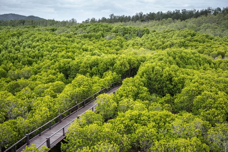 beachgoers, bueng bua nature education center, camping, cha-am-hua hin, crocodile show, drip rim lay, elastic walking, elephants show, flaming milk tea, fresh seafood, haad sam phraya, hin walking street, hua hin district, hua hin night market, hua hin safari & adventure park, huay mongkol temple, instagram spot, kaeng krachan national park, khao dang viewpoint, khao hin lek fai, khao hin lek fai view point, khao sam roi yot national park, khao takiab beach, khao tao reservoir, ladder walking, leisurely stroll, luxurious options, memory house, memory house cafe huahin, near bangkok, pa la-u waterfall, panoramic view, phraya nakron cave, popular seaside, prachuap khiri khan, pranburi dam, pranburi forest park, pranburi river, rajabhakti park, regent beach, rope climbing, sai noi beach, sam phraya beach, seen space hua hin, skoop beach cafe hua hin, suan son beach, suan son pradipat, suan son pradiphat, thao kosa forest park, three sugar palms, three sugar palms at paknam pran, tigers show, top seacret beach cafe, tree top adventure park huahin, vana nava water jungle, vana varin resort, wat khao takiab, zip lines, จุดชมวิว เขาหินเหล็กไฟ, ชายหาดหัวหิน, ซีนสเปซ หัวหิน, ตลาดชิเคด้า, ตลาดแทมมารีน, ตลาดโต้รุ่งหัวหิน, ถนนคนเดินหัวหิน, ที่เที่ยวหัวหิน, ที่เที่ยวหัวหิน 2024, ที่เที่ยวหัวหิน 2565, ที่เที่ยวหัวหิน 2567, วัดห้วยมงคล, วัดเขาตะเกียบ, สถานีรถไฟหัวหิน, สวนน้ำ วานา นาวา, สวนน้ำ วานา นาวา วอเตอร์ จังเกิ้ล, สวนสนประดิพัทธ์, หัวหิน, หัวหิน 2024, หัวหิน 2567, หาดสวนสน, หาดหัวหิน, หาดเขาตะเกียบ, อ่างเก็บน้ำเขาเต่า, อุทยานราชภักดิ์, เที่ยวหัวหิน, top 30+ ที่เที่ยวหัวหิน ยอดฮิต [กรกฎาคม 2024] พักผ่อนใกล้กรุง ผ่อนคลายไปกับธรรมชาติ