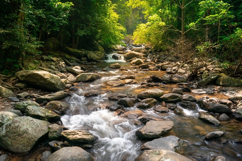 beachgoers, bueng bua nature education center, camping, cha-am-hua hin, crocodile show, drip rim lay, elastic walking, elephants show, flaming milk tea, fresh seafood, haad sam phraya, hin walking street, hua hin district, hua hin night market, hua hin safari & adventure park, huay mongkol temple, instagram spot, kaeng krachan national park, khao dang viewpoint, khao hin lek fai, khao hin lek fai view point, khao sam roi yot national park, khao takiab beach, khao tao reservoir, ladder walking, leisurely stroll, luxurious options, memory house, memory house cafe huahin, near bangkok, pa la-u waterfall, panoramic view, phraya nakron cave, popular seaside, prachuap khiri khan, pranburi dam, pranburi forest park, pranburi river, rajabhakti park, regent beach, rope climbing, sai noi beach, sam phraya beach, seen space hua hin, skoop beach cafe hua hin, suan son beach, suan son pradipat, suan son pradiphat, thao kosa forest park, three sugar palms, three sugar palms at paknam pran, tigers show, top seacret beach cafe, tree top adventure park huahin, vana nava water jungle, vana varin resort, wat khao takiab, zip lines, จุดชมวิว เขาหินเหล็กไฟ, ชายหาดหัวหิน, ซีนสเปซ หัวหิน, ตลาดชิเคด้า, ตลาดแทมมารีน, ตลาดโต้รุ่งหัวหิน, ถนนคนเดินหัวหิน, ที่เที่ยวหัวหิน, ที่เที่ยวหัวหิน 2024, ที่เที่ยวหัวหิน 2565, ที่เที่ยวหัวหิน 2567, วัดห้วยมงคล, วัดเขาตะเกียบ, สถานีรถไฟหัวหิน, สวนน้ำ วานา นาวา, สวนน้ำ วานา นาวา วอเตอร์ จังเกิ้ล, สวนสนประดิพัทธ์, หัวหิน, หัวหิน 2024, หัวหิน 2567, หาดสวนสน, หาดหัวหิน, หาดเขาตะเกียบ, อ่างเก็บน้ำเขาเต่า, อุทยานราชภักดิ์, เที่ยวหัวหิน, top 30+ ที่เที่ยวหัวหิน ยอดฮิต [กรกฎาคม 2024] พักผ่อนใกล้กรุง ผ่อนคลายไปกับธรรมชาติ