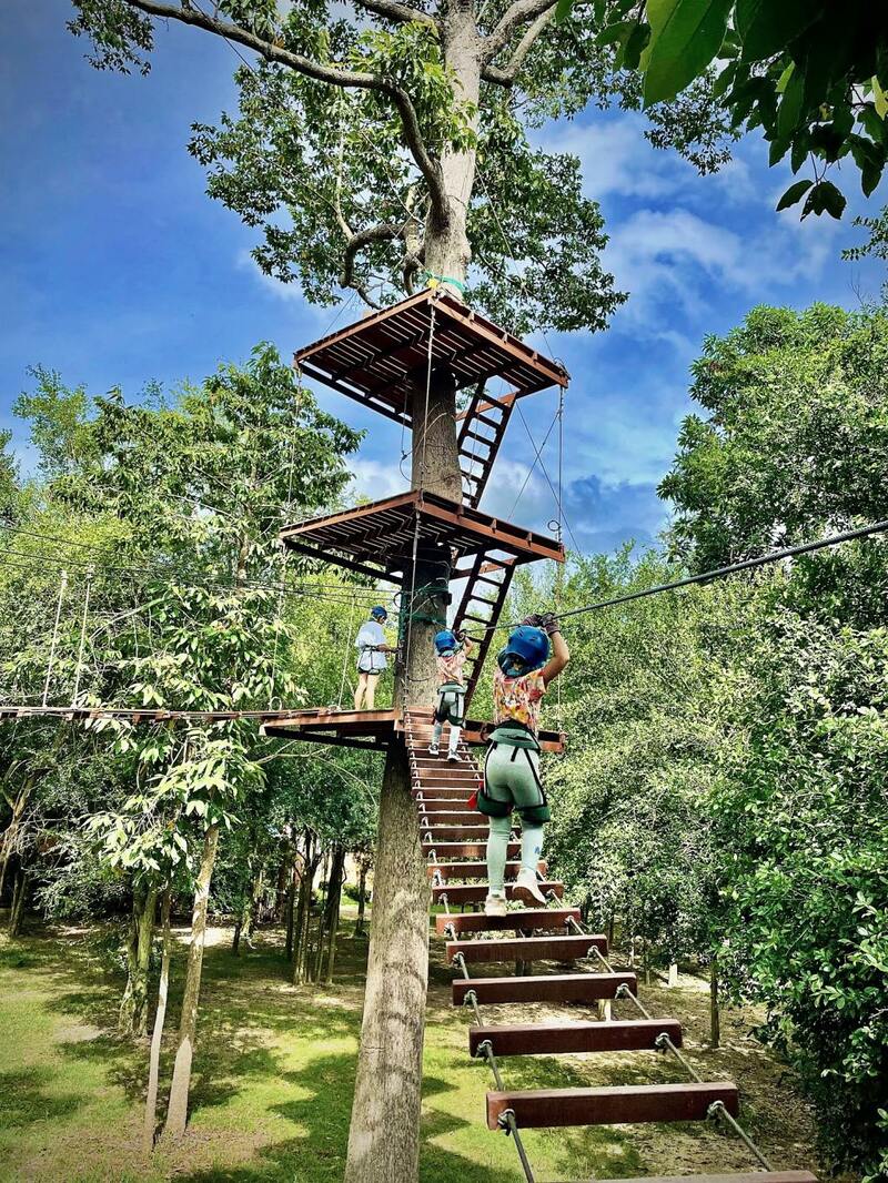 beachgoers, bueng bua nature education center, camping, cha-am-hua hin, crocodile show, drip rim lay, elastic walking, elephants show, flaming milk tea, fresh seafood, haad sam phraya, hin walking street, hua hin district, hua hin night market, hua hin safari & adventure park, huay mongkol temple, instagram spot, kaeng krachan national park, khao dang viewpoint, khao hin lek fai, khao hin lek fai view point, khao sam roi yot national park, khao takiab beach, khao tao reservoir, ladder walking, leisurely stroll, luxurious options, memory house, memory house cafe huahin, near bangkok, pa la-u waterfall, panoramic view, phraya nakron cave, popular seaside, prachuap khiri khan, pranburi dam, pranburi forest park, pranburi river, rajabhakti park, regent beach, rope climbing, sai noi beach, sam phraya beach, seen space hua hin, skoop beach cafe hua hin, suan son beach, suan son pradipat, suan son pradiphat, thao kosa forest park, three sugar palms, three sugar palms at paknam pran, tigers show, top seacret beach cafe, tree top adventure park huahin, vana nava water jungle, vana varin resort, wat khao takiab, zip lines, จุดชมวิว เขาหินเหล็กไฟ, ชายหาดหัวหิน, ซีนสเปซ หัวหิน, ตลาดชิเคด้า, ตลาดแทมมารีน, ตลาดโต้รุ่งหัวหิน, ถนนคนเดินหัวหิน, ที่เที่ยวหัวหิน, ที่เที่ยวหัวหิน 2024, ที่เที่ยวหัวหิน 2565, ที่เที่ยวหัวหิน 2567, วัดห้วยมงคล, วัดเขาตะเกียบ, สถานีรถไฟหัวหิน, สวนน้ำ วานา นาวา, สวนน้ำ วานา นาวา วอเตอร์ จังเกิ้ล, สวนสนประดิพัทธ์, หัวหิน, หัวหิน 2024, หัวหิน 2567, หาดสวนสน, หาดหัวหิน, หาดเขาตะเกียบ, อ่างเก็บน้ำเขาเต่า, อุทยานราชภักดิ์, เที่ยวหัวหิน, top 30+ ที่เที่ยวหัวหิน ยอดฮิต [กรกฎาคม 2024] พักผ่อนใกล้กรุง ผ่อนคลายไปกับธรรมชาติ