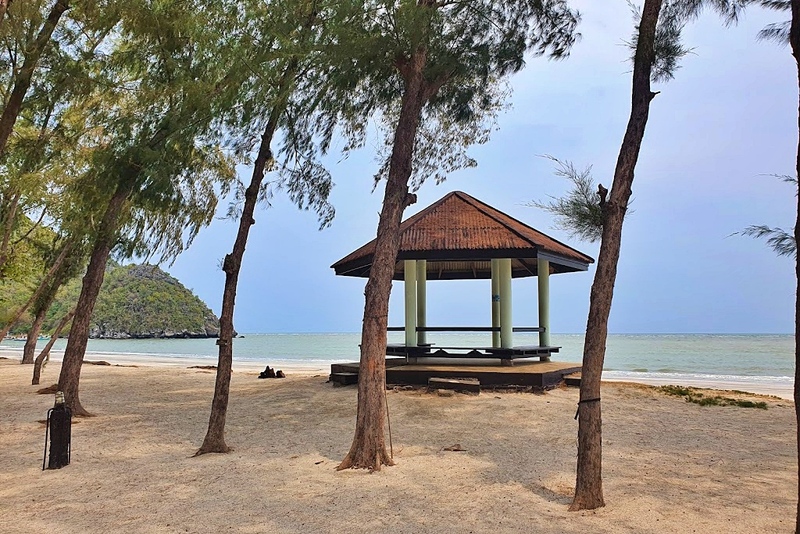 beachgoers, bueng bua nature education center, camping, cha-am-hua hin, crocodile show, drip rim lay, elastic walking, elephants show, flaming milk tea, fresh seafood, haad sam phraya, hin walking street, hua hin district, hua hin night market, hua hin safari & adventure park, huay mongkol temple, instagram spot, kaeng krachan national park, khao dang viewpoint, khao hin lek fai, khao hin lek fai view point, khao sam roi yot national park, khao takiab beach, khao tao reservoir, ladder walking, leisurely stroll, luxurious options, memory house, memory house cafe huahin, near bangkok, pa la-u waterfall, panoramic view, phraya nakron cave, popular seaside, prachuap khiri khan, pranburi dam, pranburi forest park, pranburi river, rajabhakti park, regent beach, rope climbing, sai noi beach, sam phraya beach, seen space hua hin, skoop beach cafe hua hin, suan son beach, suan son pradipat, suan son pradiphat, thao kosa forest park, three sugar palms, three sugar palms at paknam pran, tigers show, top seacret beach cafe, tree top adventure park huahin, vana nava water jungle, vana varin resort, wat khao takiab, zip lines, จุดชมวิว เขาหินเหล็กไฟ, ชายหาดหัวหิน, ซีนสเปซ หัวหิน, ตลาดชิเคด้า, ตลาดแทมมารีน, ตลาดโต้รุ่งหัวหิน, ถนนคนเดินหัวหิน, ที่เที่ยวหัวหิน, ที่เที่ยวหัวหิน 2024, ที่เที่ยวหัวหิน 2565, ที่เที่ยวหัวหิน 2567, วัดห้วยมงคล, วัดเขาตะเกียบ, สถานีรถไฟหัวหิน, สวนน้ำ วานา นาวา, สวนน้ำ วานา นาวา วอเตอร์ จังเกิ้ล, สวนสนประดิพัทธ์, หัวหิน, หัวหิน 2024, หัวหิน 2567, หาดสวนสน, หาดหัวหิน, หาดเขาตะเกียบ, อ่างเก็บน้ำเขาเต่า, อุทยานราชภักดิ์, เที่ยวหัวหิน, top 30+ ที่เที่ยวหัวหิน ยอดฮิต [กรกฎาคม 2024] พักผ่อนใกล้กรุง ผ่อนคลายไปกับธรรมชาติ