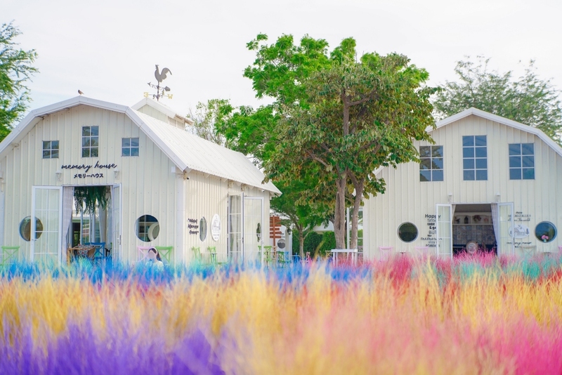 beachgoers, bueng bua nature education center, camping, cha-am-hua hin, crocodile show, drip rim lay, elastic walking, elephants show, flaming milk tea, fresh seafood, haad sam phraya, hin walking street, hua hin district, hua hin night market, hua hin safari & adventure park, huay mongkol temple, instagram spot, kaeng krachan national park, khao dang viewpoint, khao hin lek fai, khao hin lek fai view point, khao sam roi yot national park, khao takiab beach, khao tao reservoir, ladder walking, leisurely stroll, luxurious options, memory house, memory house cafe huahin, near bangkok, pa la-u waterfall, panoramic view, phraya nakron cave, popular seaside, prachuap khiri khan, pranburi dam, pranburi forest park, pranburi river, rajabhakti park, regent beach, rope climbing, sai noi beach, sam phraya beach, seen space hua hin, skoop beach cafe hua hin, suan son beach, suan son pradipat, suan son pradiphat, thao kosa forest park, three sugar palms, three sugar palms at paknam pran, tigers show, top seacret beach cafe, tree top adventure park huahin, vana nava water jungle, vana varin resort, wat khao takiab, zip lines, จุดชมวิว เขาหินเหล็กไฟ, ชายหาดหัวหิน, ซีนสเปซ หัวหิน, ตลาดชิเคด้า, ตลาดแทมมารีน, ตลาดโต้รุ่งหัวหิน, ถนนคนเดินหัวหิน, ที่เที่ยวหัวหิน, ที่เที่ยวหัวหิน 2024, ที่เที่ยวหัวหิน 2565, ที่เที่ยวหัวหิน 2567, วัดห้วยมงคล, วัดเขาตะเกียบ, สถานีรถไฟหัวหิน, สวนน้ำ วานา นาวา, สวนน้ำ วานา นาวา วอเตอร์ จังเกิ้ล, สวนสนประดิพัทธ์, หัวหิน, หัวหิน 2024, หัวหิน 2567, หาดสวนสน, หาดหัวหิน, หาดเขาตะเกียบ, อ่างเก็บน้ำเขาเต่า, อุทยานราชภักดิ์, เที่ยวหัวหิน, top 30+ ที่เที่ยวหัวหิน ยอดฮิต [กรกฎาคม 2024] พักผ่อนใกล้กรุง ผ่อนคลายไปกับธรรมชาติ