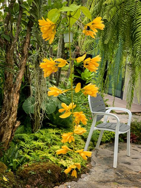 ร้านอาหารระยอง ของอร่อยเจ้าดัง นักชิมตัวจริงห้ามพลาด