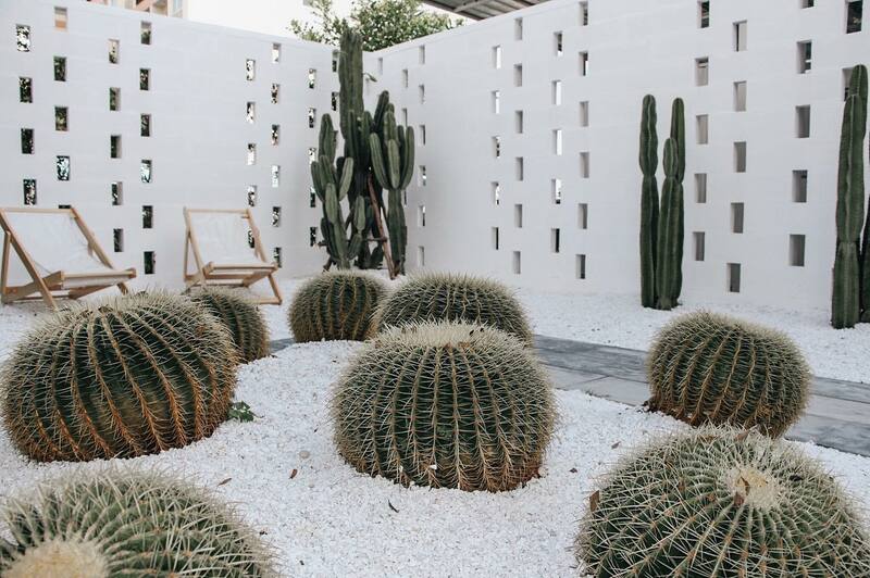 คาเฟ่พัทยา : 22 คาเฟ่พัทยาถ่ายรูปสวย เช็คอินเก๋ๆ ไม่ควรพลาด