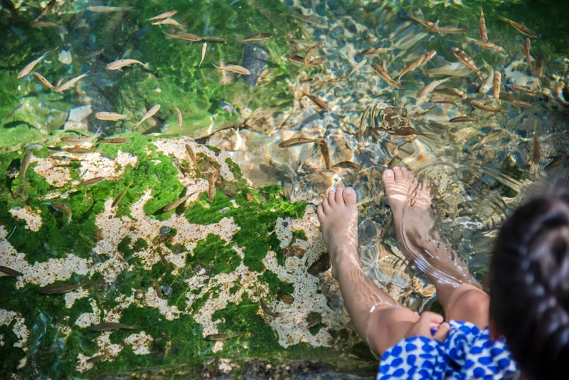 mulberry khaoyai, the birder’s lodge café & grill, yellow submarine coffee tank, ข้าวโพดหวาน ไร่สุวรรณ, ที่เที่ยวเขาใหญ่, ที่เที่ยวเขาใหญ่ 2022, ที่เที่ยวเขาใหญ่ 2023, ที่เที่ยวเขาใหญ่ 2024, ที่เที่ยวเขาใหญ่ 2565, ที่เที่ยวเขาใหญ่ 2566, ที่เที่ยวเขาใหญ่ 2567, ที่เที่ยวเขาใหญ่ ปากช่อง, น้ำตกเหวสุวัต, บ่อน้ำผุด เขาใหญ่, บ้านนอกคอกนา, ปาลิโอ เขาใหญ่, ฟาร์มโชคชัย, สระน้ำผุด ปากช่อง, สระน้ำผุด เขาใหญ่, อุทยานแห่งชาติเขาใหญ่, เขาใหญ่, เขาใหญ่ ที่เที่ยว, เที่ยวเขาใหญ่ 2024, เที่ยวเขาใหญ่ 2567, แรนโช ชาญวีร์ เขาใหญ่, ไร่มัลเบอร์รี่ เขาใหญ่, ไร่สุวรรณ, top 25+ ที่เที่ยวเขาใหญ่ [กรกฎาคม 2024] ถ่ายรูปสวย สไตล์ธรรมชาติ เที่ยวได้ทั้งครอบครัว