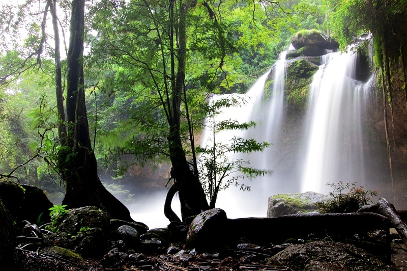 mulberry khaoyai, the birder’s lodge café & grill, yellow submarine coffee tank, ข้าวโพดหวาน ไร่สุวรรณ, ที่เที่ยวเขาใหญ่, ที่เที่ยวเขาใหญ่ 2022, ที่เที่ยวเขาใหญ่ 2023, ที่เที่ยวเขาใหญ่ 2024, ที่เที่ยวเขาใหญ่ 2565, ที่เที่ยวเขาใหญ่ 2566, ที่เที่ยวเขาใหญ่ 2567, ที่เที่ยวเขาใหญ่ ปากช่อง, น้ำตกเหวสุวัต, บ่อน้ำผุด เขาใหญ่, บ้านนอกคอกนา, ปาลิโอ เขาใหญ่, ฟาร์มโชคชัย, สระน้ำผุด ปากช่อง, สระน้ำผุด เขาใหญ่, อุทยานแห่งชาติเขาใหญ่, เขาใหญ่, เขาใหญ่ ที่เที่ยว, เที่ยวเขาใหญ่ 2024, เที่ยวเขาใหญ่ 2567, แรนโช ชาญวีร์ เขาใหญ่, ไร่มัลเบอร์รี่ เขาใหญ่, ไร่สุวรรณ, top 25+ ที่เที่ยวเขาใหญ่ [กรกฎาคม 2024] ถ่ายรูปสวย สไตล์ธรรมชาติ เที่ยวได้ทั้งครอบครัว