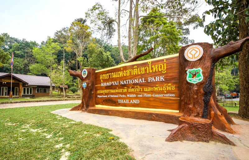 mulberry khaoyai, the birder’s lodge café & grill, yellow submarine coffee tank, ข้าวโพดหวาน ไร่สุวรรณ, ที่เที่ยวเขาใหญ่, ที่เที่ยวเขาใหญ่ 2022, ที่เที่ยวเขาใหญ่ 2023, ที่เที่ยวเขาใหญ่ 2024, ที่เที่ยวเขาใหญ่ 2565, ที่เที่ยวเขาใหญ่ 2566, ที่เที่ยวเขาใหญ่ 2567, ที่เที่ยวเขาใหญ่ ปากช่อง, น้ำตกเหวสุวัต, บ่อน้ำผุด เขาใหญ่, บ้านนอกคอกนา, ปาลิโอ เขาใหญ่, ฟาร์มโชคชัย, สระน้ำผุด ปากช่อง, สระน้ำผุด เขาใหญ่, อุทยานแห่งชาติเขาใหญ่, เขาใหญ่, เขาใหญ่ ที่เที่ยว, เที่ยวเขาใหญ่ 2024, เที่ยวเขาใหญ่ 2567, แรนโช ชาญวีร์ เขาใหญ่, ไร่มัลเบอร์รี่ เขาใหญ่, ไร่สุวรรณ, top 25+ ที่เที่ยวเขาใหญ่ [กรกฎาคม 2024] ถ่ายรูปสวย สไตล์ธรรมชาติ เที่ยวได้ทั้งครอบครัว