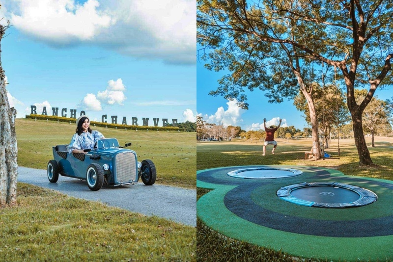 mulberry khaoyai, the birder’s lodge café & grill, yellow submarine coffee tank, ข้าวโพดหวาน ไร่สุวรรณ, ที่เที่ยวเขาใหญ่, ที่เที่ยวเขาใหญ่ 2022, ที่เที่ยวเขาใหญ่ 2023, ที่เที่ยวเขาใหญ่ 2024, ที่เที่ยวเขาใหญ่ 2565, ที่เที่ยวเขาใหญ่ 2566, ที่เที่ยวเขาใหญ่ 2567, ที่เที่ยวเขาใหญ่ ปากช่อง, น้ำตกเหวสุวัต, บ่อน้ำผุด เขาใหญ่, บ้านนอกคอกนา, ปาลิโอ เขาใหญ่, ฟาร์มโชคชัย, สระน้ำผุด ปากช่อง, สระน้ำผุด เขาใหญ่, อุทยานแห่งชาติเขาใหญ่, เขาใหญ่, เขาใหญ่ ที่เที่ยว, เที่ยวเขาใหญ่ 2024, เที่ยวเขาใหญ่ 2567, แรนโช ชาญวีร์ เขาใหญ่, ไร่มัลเบอร์รี่ เขาใหญ่, ไร่สุวรรณ, top 25+ ที่เที่ยวเขาใหญ่ [กรกฎาคม 2024] ถ่ายรูปสวย สไตล์ธรรมชาติ เที่ยวได้ทั้งครอบครัว