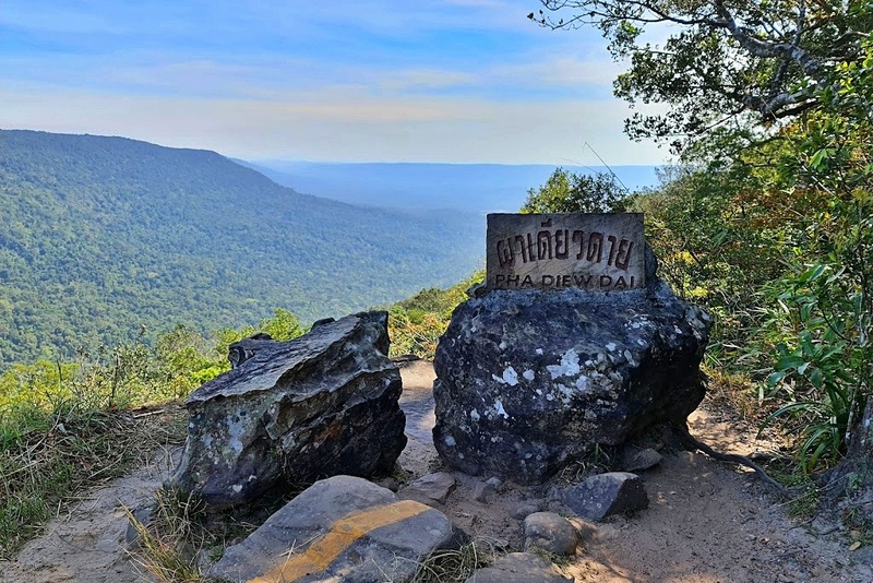 mulberry khaoyai, the birder’s lodge café & grill, yellow submarine coffee tank, ข้าวโพดหวาน ไร่สุวรรณ, ที่เที่ยวเขาใหญ่, ที่เที่ยวเขาใหญ่ 2022, ที่เที่ยวเขาใหญ่ 2023, ที่เที่ยวเขาใหญ่ 2024, ที่เที่ยวเขาใหญ่ 2565, ที่เที่ยวเขาใหญ่ 2566, ที่เที่ยวเขาใหญ่ 2567, ที่เที่ยวเขาใหญ่ ปากช่อง, น้ำตกเหวสุวัต, บ่อน้ำผุด เขาใหญ่, บ้านนอกคอกนา, ปาลิโอ เขาใหญ่, ฟาร์มโชคชัย, สระน้ำผุด ปากช่อง, สระน้ำผุด เขาใหญ่, อุทยานแห่งชาติเขาใหญ่, เขาใหญ่, เขาใหญ่ ที่เที่ยว, เที่ยวเขาใหญ่ 2024, เที่ยวเขาใหญ่ 2567, แรนโช ชาญวีร์ เขาใหญ่, ไร่มัลเบอร์รี่ เขาใหญ่, ไร่สุวรรณ, top 25+ ที่เที่ยวเขาใหญ่ [กรกฎาคม 2024] ถ่ายรูปสวย สไตล์ธรรมชาติ เที่ยวได้ทั้งครอบครัว