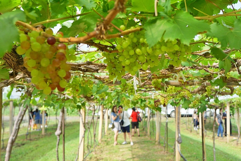 mulberry khaoyai, the birder’s lodge café & grill, yellow submarine coffee tank, ข้าวโพดหวาน ไร่สุวรรณ, ที่เที่ยวเขาใหญ่, ที่เที่ยวเขาใหญ่ 2022, ที่เที่ยวเขาใหญ่ 2023, ที่เที่ยวเขาใหญ่ 2024, ที่เที่ยวเขาใหญ่ 2565, ที่เที่ยวเขาใหญ่ 2566, ที่เที่ยวเขาใหญ่ 2567, ที่เที่ยวเขาใหญ่ ปากช่อง, น้ำตกเหวสุวัต, บ่อน้ำผุด เขาใหญ่, บ้านนอกคอกนา, ปาลิโอ เขาใหญ่, ฟาร์มโชคชัย, สระน้ำผุด ปากช่อง, สระน้ำผุด เขาใหญ่, อุทยานแห่งชาติเขาใหญ่, เขาใหญ่, เขาใหญ่ ที่เที่ยว, เที่ยวเขาใหญ่ 2024, เที่ยวเขาใหญ่ 2567, แรนโช ชาญวีร์ เขาใหญ่, ไร่มัลเบอร์รี่ เขาใหญ่, ไร่สุวรรณ, top 25+ ที่เที่ยวเขาใหญ่ [กรกฎาคม 2024] ถ่ายรูปสวย สไตล์ธรรมชาติ เที่ยวได้ทั้งครอบครัว