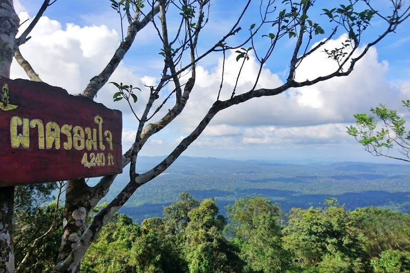 mulberry khaoyai, the birder’s lodge café & grill, yellow submarine coffee tank, ข้าวโพดหวาน ไร่สุวรรณ, ที่เที่ยวเขาใหญ่, ที่เที่ยวเขาใหญ่ 2022, ที่เที่ยวเขาใหญ่ 2023, ที่เที่ยวเขาใหญ่ 2024, ที่เที่ยวเขาใหญ่ 2565, ที่เที่ยวเขาใหญ่ 2566, ที่เที่ยวเขาใหญ่ 2567, ที่เที่ยวเขาใหญ่ ปากช่อง, น้ำตกเหวสุวัต, บ่อน้ำผุด เขาใหญ่, บ้านนอกคอกนา, ปาลิโอ เขาใหญ่, ฟาร์มโชคชัย, สระน้ำผุด ปากช่อง, สระน้ำผุด เขาใหญ่, อุทยานแห่งชาติเขาใหญ่, เขาใหญ่, เขาใหญ่ ที่เที่ยว, เที่ยวเขาใหญ่ 2024, เที่ยวเขาใหญ่ 2567, แรนโช ชาญวีร์ เขาใหญ่, ไร่มัลเบอร์รี่ เขาใหญ่, ไร่สุวรรณ, top 25+ ที่เที่ยวเขาใหญ่ [กรกฎาคม 2024] ถ่ายรูปสวย สไตล์ธรรมชาติ เที่ยวได้ทั้งครอบครัว