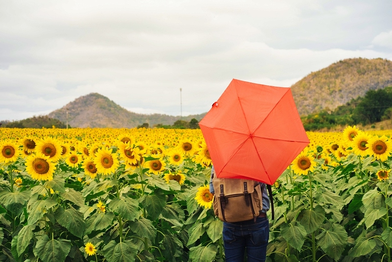 mulberry khaoyai, the birder’s lodge café & grill, yellow submarine coffee tank, ข้าวโพดหวาน ไร่สุวรรณ, ที่เที่ยวเขาใหญ่, ที่เที่ยวเขาใหญ่ 2022, ที่เที่ยวเขาใหญ่ 2023, ที่เที่ยวเขาใหญ่ 2024, ที่เที่ยวเขาใหญ่ 2565, ที่เที่ยวเขาใหญ่ 2566, ที่เที่ยวเขาใหญ่ 2567, ที่เที่ยวเขาใหญ่ ปากช่อง, น้ำตกเหวสุวัต, บ่อน้ำผุด เขาใหญ่, บ้านนอกคอกนา, ปาลิโอ เขาใหญ่, ฟาร์มโชคชัย, สระน้ำผุด ปากช่อง, สระน้ำผุด เขาใหญ่, อุทยานแห่งชาติเขาใหญ่, เขาใหญ่, เขาใหญ่ ที่เที่ยว, เที่ยวเขาใหญ่ 2024, เที่ยวเขาใหญ่ 2567, แรนโช ชาญวีร์ เขาใหญ่, ไร่มัลเบอร์รี่ เขาใหญ่, ไร่สุวรรณ, top 25+ ที่เที่ยวเขาใหญ่ [กรกฎาคม 2024] ถ่ายรูปสวย สไตล์ธรรมชาติ เที่ยวได้ทั้งครอบครัว