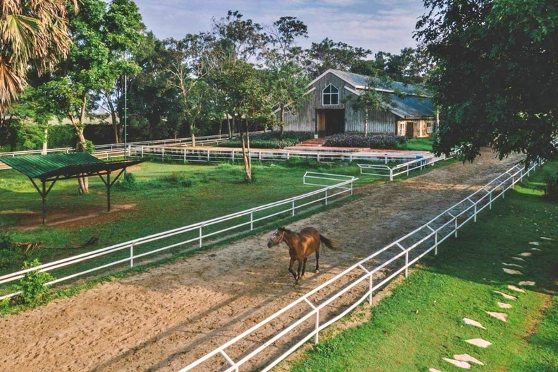 mulberry khaoyai, the birder’s lodge café & grill, yellow submarine coffee tank, ข้าวโพดหวาน ไร่สุวรรณ, ที่เที่ยวเขาใหญ่, ที่เที่ยวเขาใหญ่ 2022, ที่เที่ยวเขาใหญ่ 2023, ที่เที่ยวเขาใหญ่ 2024, ที่เที่ยวเขาใหญ่ 2565, ที่เที่ยวเขาใหญ่ 2566, ที่เที่ยวเขาใหญ่ 2567, ที่เที่ยวเขาใหญ่ ปากช่อง, น้ำตกเหวสุวัต, บ่อน้ำผุด เขาใหญ่, บ้านนอกคอกนา, ปาลิโอ เขาใหญ่, ฟาร์มโชคชัย, สระน้ำผุด ปากช่อง, สระน้ำผุด เขาใหญ่, อุทยานแห่งชาติเขาใหญ่, เขาใหญ่, เขาใหญ่ ที่เที่ยว, เที่ยวเขาใหญ่ 2024, เที่ยวเขาใหญ่ 2567, แรนโช ชาญวีร์ เขาใหญ่, ไร่มัลเบอร์รี่ เขาใหญ่, ไร่สุวรรณ, top 25+ ที่เที่ยวเขาใหญ่ [กรกฎาคม 2024] ถ่ายรูปสวย สไตล์ธรรมชาติ เที่ยวได้ทั้งครอบครัว