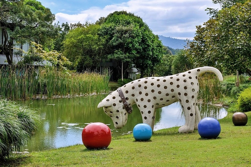 mulberry khaoyai, the birder’s lodge café & grill, yellow submarine coffee tank, ข้าวโพดหวาน ไร่สุวรรณ, ที่เที่ยวเขาใหญ่, ที่เที่ยวเขาใหญ่ 2022, ที่เที่ยวเขาใหญ่ 2023, ที่เที่ยวเขาใหญ่ 2024, ที่เที่ยวเขาใหญ่ 2565, ที่เที่ยวเขาใหญ่ 2566, ที่เที่ยวเขาใหญ่ 2567, ที่เที่ยวเขาใหญ่ ปากช่อง, น้ำตกเหวสุวัต, บ่อน้ำผุด เขาใหญ่, บ้านนอกคอกนา, ปาลิโอ เขาใหญ่, ฟาร์มโชคชัย, สระน้ำผุด ปากช่อง, สระน้ำผุด เขาใหญ่, อุทยานแห่งชาติเขาใหญ่, เขาใหญ่, เขาใหญ่ ที่เที่ยว, เที่ยวเขาใหญ่ 2024, เที่ยวเขาใหญ่ 2567, แรนโช ชาญวีร์ เขาใหญ่, ไร่มัลเบอร์รี่ เขาใหญ่, ไร่สุวรรณ, top 25+ ที่เที่ยวเขาใหญ่ [กรกฎาคม 2024] ถ่ายรูปสวย สไตล์ธรรมชาติ เที่ยวได้ทั้งครอบครัว