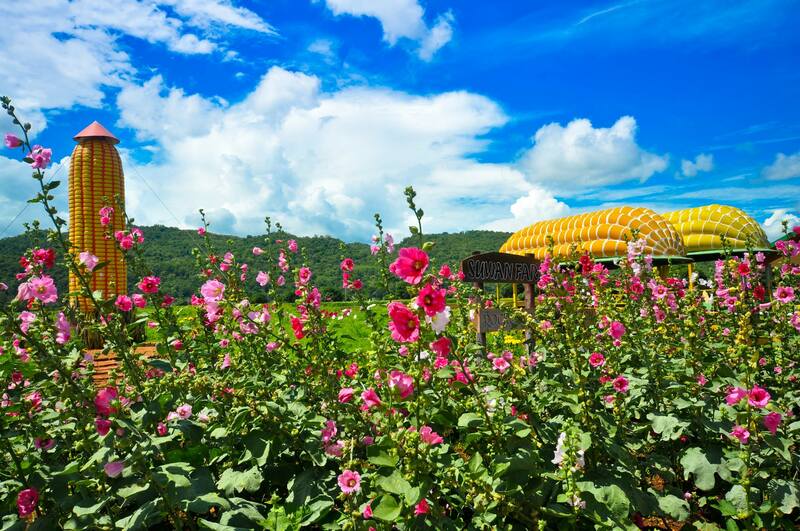 mulberry khaoyai, the birder’s lodge café & grill, yellow submarine coffee tank, ข้าวโพดหวาน ไร่สุวรรณ, ที่เที่ยวเขาใหญ่, ที่เที่ยวเขาใหญ่ 2022, ที่เที่ยวเขาใหญ่ 2023, ที่เที่ยวเขาใหญ่ 2024, ที่เที่ยวเขาใหญ่ 2565, ที่เที่ยวเขาใหญ่ 2566, ที่เที่ยวเขาใหญ่ 2567, ที่เที่ยวเขาใหญ่ ปากช่อง, น้ำตกเหวสุวัต, บ่อน้ำผุด เขาใหญ่, บ้านนอกคอกนา, ปาลิโอ เขาใหญ่, ฟาร์มโชคชัย, สระน้ำผุด ปากช่อง, สระน้ำผุด เขาใหญ่, อุทยานแห่งชาติเขาใหญ่, เขาใหญ่, เขาใหญ่ ที่เที่ยว, เที่ยวเขาใหญ่ 2024, เที่ยวเขาใหญ่ 2567, แรนโช ชาญวีร์ เขาใหญ่, ไร่มัลเบอร์รี่ เขาใหญ่, ไร่สุวรรณ, top 25+ ที่เที่ยวเขาใหญ่ [กรกฎาคม 2024] ถ่ายรูปสวย สไตล์ธรรมชาติ เที่ยวได้ทั้งครอบครัว