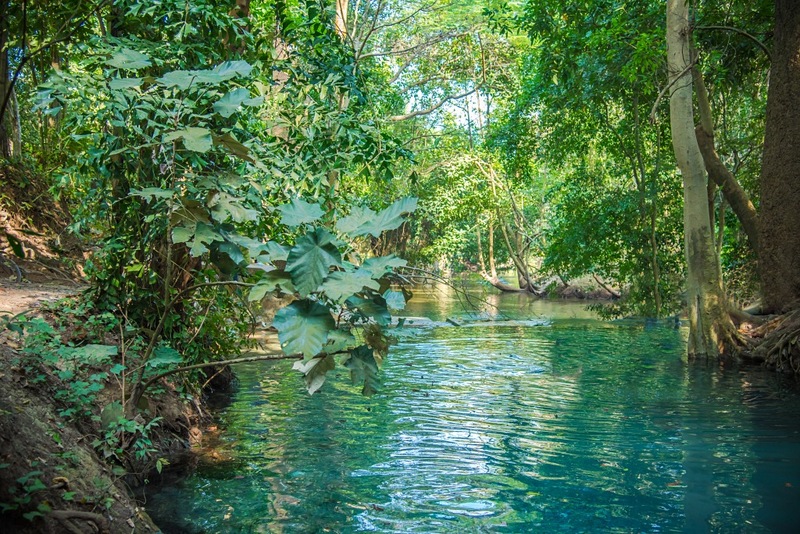 mulberry khaoyai, the birder’s lodge café & grill, yellow submarine coffee tank, ข้าวโพดหวาน ไร่สุวรรณ, ที่เที่ยวเขาใหญ่, ที่เที่ยวเขาใหญ่ 2022, ที่เที่ยวเขาใหญ่ 2023, ที่เที่ยวเขาใหญ่ 2024, ที่เที่ยวเขาใหญ่ 2565, ที่เที่ยวเขาใหญ่ 2566, ที่เที่ยวเขาใหญ่ 2567, ที่เที่ยวเขาใหญ่ ปากช่อง, น้ำตกเหวสุวัต, บ่อน้ำผุด เขาใหญ่, บ้านนอกคอกนา, ปาลิโอ เขาใหญ่, ฟาร์มโชคชัย, สระน้ำผุด ปากช่อง, สระน้ำผุด เขาใหญ่, อุทยานแห่งชาติเขาใหญ่, เขาใหญ่, เขาใหญ่ ที่เที่ยว, เที่ยวเขาใหญ่ 2024, เที่ยวเขาใหญ่ 2567, แรนโช ชาญวีร์ เขาใหญ่, ไร่มัลเบอร์รี่ เขาใหญ่, ไร่สุวรรณ, top 25+ ที่เที่ยวเขาใหญ่ [กรกฎาคม 2024] ถ่ายรูปสวย สไตล์ธรรมชาติ เที่ยวได้ทั้งครอบครัว