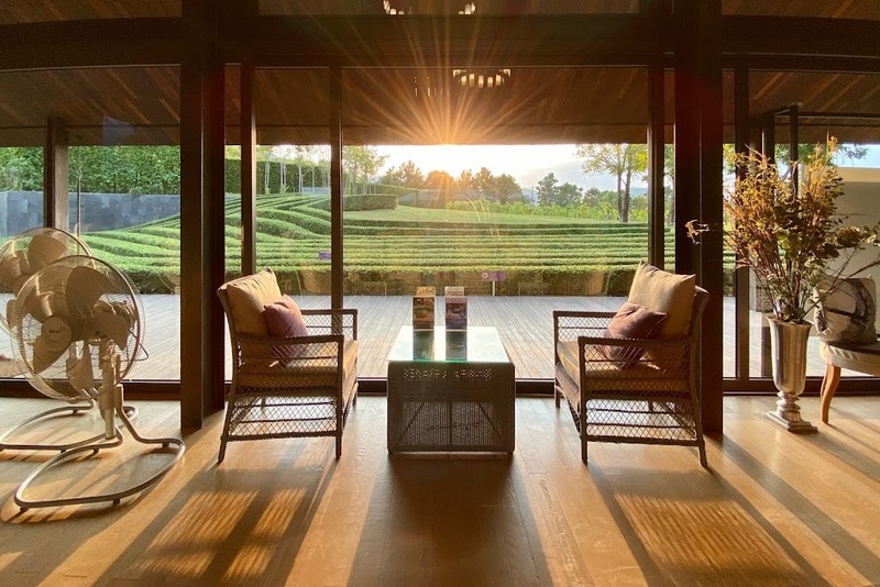 mulberry khaoyai, the birder’s lodge café & grill, yellow submarine coffee tank, ข้าวโพดหวาน ไร่สุวรรณ, ที่เที่ยวเขาใหญ่, ที่เที่ยวเขาใหญ่ 2022, ที่เที่ยวเขาใหญ่ 2023, ที่เที่ยวเขาใหญ่ 2024, ที่เที่ยวเขาใหญ่ 2565, ที่เที่ยวเขาใหญ่ 2566, ที่เที่ยวเขาใหญ่ 2567, ที่เที่ยวเขาใหญ่ ปากช่อง, น้ำตกเหวสุวัต, บ่อน้ำผุด เขาใหญ่, บ้านนอกคอกนา, ปาลิโอ เขาใหญ่, ฟาร์มโชคชัย, สระน้ำผุด ปากช่อง, สระน้ำผุด เขาใหญ่, อุทยานแห่งชาติเขาใหญ่, เขาใหญ่, เขาใหญ่ ที่เที่ยว, เที่ยวเขาใหญ่ 2024, เที่ยวเขาใหญ่ 2567, แรนโช ชาญวีร์ เขาใหญ่, ไร่มัลเบอร์รี่ เขาใหญ่, ไร่สุวรรณ, top 25+ ที่เที่ยวเขาใหญ่ [กรกฎาคม 2024] ถ่ายรูปสวย สไตล์ธรรมชาติ เที่ยวได้ทั้งครอบครัว