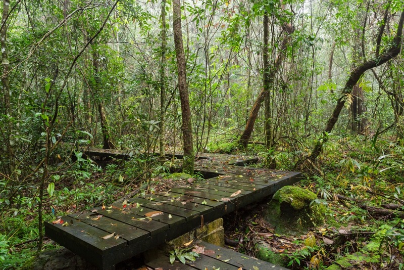 mulberry khaoyai, the birder’s lodge café & grill, yellow submarine coffee tank, ข้าวโพดหวาน ไร่สุวรรณ, ที่เที่ยวเขาใหญ่, ที่เที่ยวเขาใหญ่ 2022, ที่เที่ยวเขาใหญ่ 2023, ที่เที่ยวเขาใหญ่ 2024, ที่เที่ยวเขาใหญ่ 2565, ที่เที่ยวเขาใหญ่ 2566, ที่เที่ยวเขาใหญ่ 2567, ที่เที่ยวเขาใหญ่ ปากช่อง, น้ำตกเหวสุวัต, บ่อน้ำผุด เขาใหญ่, บ้านนอกคอกนา, ปาลิโอ เขาใหญ่, ฟาร์มโชคชัย, สระน้ำผุด ปากช่อง, สระน้ำผุด เขาใหญ่, อุทยานแห่งชาติเขาใหญ่, เขาใหญ่, เขาใหญ่ ที่เที่ยว, เที่ยวเขาใหญ่ 2024, เที่ยวเขาใหญ่ 2567, แรนโช ชาญวีร์ เขาใหญ่, ไร่มัลเบอร์รี่ เขาใหญ่, ไร่สุวรรณ, top 25+ ที่เที่ยวเขาใหญ่ [กรกฎาคม 2024] ถ่ายรูปสวย สไตล์ธรรมชาติ เที่ยวได้ทั้งครอบครัว