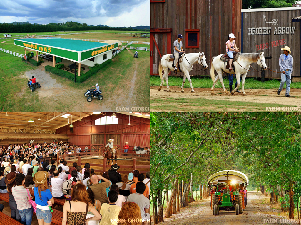 mulberry khaoyai, the birder’s lodge café & grill, yellow submarine coffee tank, ข้าวโพดหวาน ไร่สุวรรณ, ที่เที่ยวเขาใหญ่, ที่เที่ยวเขาใหญ่ 2022, ที่เที่ยวเขาใหญ่ 2023, ที่เที่ยวเขาใหญ่ 2024, ที่เที่ยวเขาใหญ่ 2565, ที่เที่ยวเขาใหญ่ 2566, ที่เที่ยวเขาใหญ่ 2567, ที่เที่ยวเขาใหญ่ ปากช่อง, น้ำตกเหวสุวัต, บ่อน้ำผุด เขาใหญ่, บ้านนอกคอกนา, ปาลิโอ เขาใหญ่, ฟาร์มโชคชัย, สระน้ำผุด ปากช่อง, สระน้ำผุด เขาใหญ่, อุทยานแห่งชาติเขาใหญ่, เขาใหญ่, เขาใหญ่ ที่เที่ยว, เที่ยวเขาใหญ่ 2024, เที่ยวเขาใหญ่ 2567, แรนโช ชาญวีร์ เขาใหญ่, ไร่มัลเบอร์รี่ เขาใหญ่, ไร่สุวรรณ, top 25+ ที่เที่ยวเขาใหญ่ [กรกฎาคม 2024] ถ่ายรูปสวย สไตล์ธรรมชาติ เที่ยวได้ทั้งครอบครัว