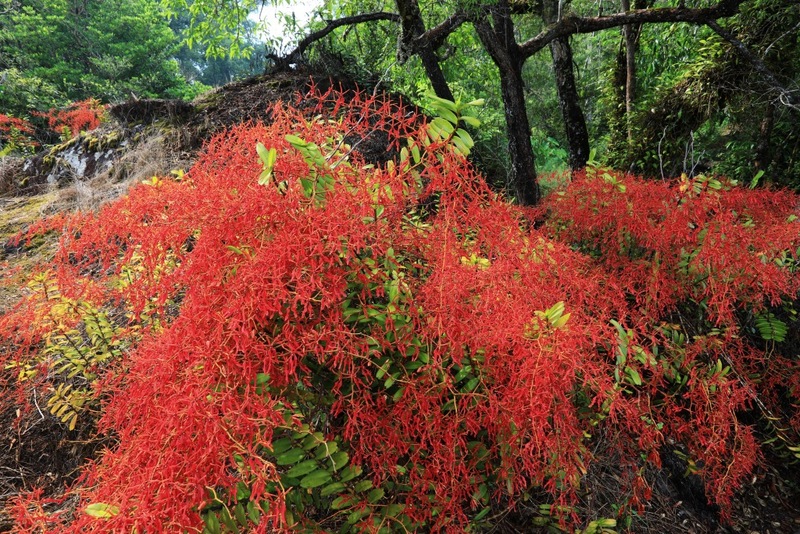 mulberry khaoyai, the birder’s lodge café & grill, yellow submarine coffee tank, ข้าวโพดหวาน ไร่สุวรรณ, ที่เที่ยวเขาใหญ่, ที่เที่ยวเขาใหญ่ 2022, ที่เที่ยวเขาใหญ่ 2023, ที่เที่ยวเขาใหญ่ 2024, ที่เที่ยวเขาใหญ่ 2565, ที่เที่ยวเขาใหญ่ 2566, ที่เที่ยวเขาใหญ่ 2567, ที่เที่ยวเขาใหญ่ ปากช่อง, น้ำตกเหวสุวัต, บ่อน้ำผุด เขาใหญ่, บ้านนอกคอกนา, ปาลิโอ เขาใหญ่, ฟาร์มโชคชัย, สระน้ำผุด ปากช่อง, สระน้ำผุด เขาใหญ่, อุทยานแห่งชาติเขาใหญ่, เขาใหญ่, เขาใหญ่ ที่เที่ยว, เที่ยวเขาใหญ่ 2024, เที่ยวเขาใหญ่ 2567, แรนโช ชาญวีร์ เขาใหญ่, ไร่มัลเบอร์รี่ เขาใหญ่, ไร่สุวรรณ, top 25+ ที่เที่ยวเขาใหญ่ [กรกฎาคม 2024] ถ่ายรูปสวย สไตล์ธรรมชาติ เที่ยวได้ทั้งครอบครัว