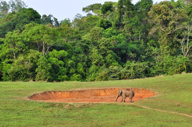 mulberry khaoyai, the birder’s lodge café & grill, yellow submarine coffee tank, ข้าวโพดหวาน ไร่สุวรรณ, ที่เที่ยวเขาใหญ่, ที่เที่ยวเขาใหญ่ 2022, ที่เที่ยวเขาใหญ่ 2023, ที่เที่ยวเขาใหญ่ 2024, ที่เที่ยวเขาใหญ่ 2565, ที่เที่ยวเขาใหญ่ 2566, ที่เที่ยวเขาใหญ่ 2567, ที่เที่ยวเขาใหญ่ ปากช่อง, น้ำตกเหวสุวัต, บ่อน้ำผุด เขาใหญ่, บ้านนอกคอกนา, ปาลิโอ เขาใหญ่, ฟาร์มโชคชัย, สระน้ำผุด ปากช่อง, สระน้ำผุด เขาใหญ่, อุทยานแห่งชาติเขาใหญ่, เขาใหญ่, เขาใหญ่ ที่เที่ยว, เที่ยวเขาใหญ่ 2024, เที่ยวเขาใหญ่ 2567, แรนโช ชาญวีร์ เขาใหญ่, ไร่มัลเบอร์รี่ เขาใหญ่, ไร่สุวรรณ, top 25+ ที่เที่ยวเขาใหญ่ [กรกฎาคม 2024] ถ่ายรูปสวย สไตล์ธรรมชาติ เที่ยวได้ทั้งครอบครัว