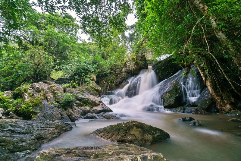 mulberry khaoyai, the birder’s lodge café & grill, yellow submarine coffee tank, ข้าวโพดหวาน ไร่สุวรรณ, ที่เที่ยวเขาใหญ่, ที่เที่ยวเขาใหญ่ 2022, ที่เที่ยวเขาใหญ่ 2023, ที่เที่ยวเขาใหญ่ 2024, ที่เที่ยวเขาใหญ่ 2565, ที่เที่ยวเขาใหญ่ 2566, ที่เที่ยวเขาใหญ่ 2567, ที่เที่ยวเขาใหญ่ ปากช่อง, น้ำตกเหวสุวัต, บ่อน้ำผุด เขาใหญ่, บ้านนอกคอกนา, ปาลิโอ เขาใหญ่, ฟาร์มโชคชัย, สระน้ำผุด ปากช่อง, สระน้ำผุด เขาใหญ่, อุทยานแห่งชาติเขาใหญ่, เขาใหญ่, เขาใหญ่ ที่เที่ยว, เที่ยวเขาใหญ่ 2024, เที่ยวเขาใหญ่ 2567, แรนโช ชาญวีร์ เขาใหญ่, ไร่มัลเบอร์รี่ เขาใหญ่, ไร่สุวรรณ, top 25+ ที่เที่ยวเขาใหญ่ [กรกฎาคม 2024] ถ่ายรูปสวย สไตล์ธรรมชาติ เที่ยวได้ทั้งครอบครัว