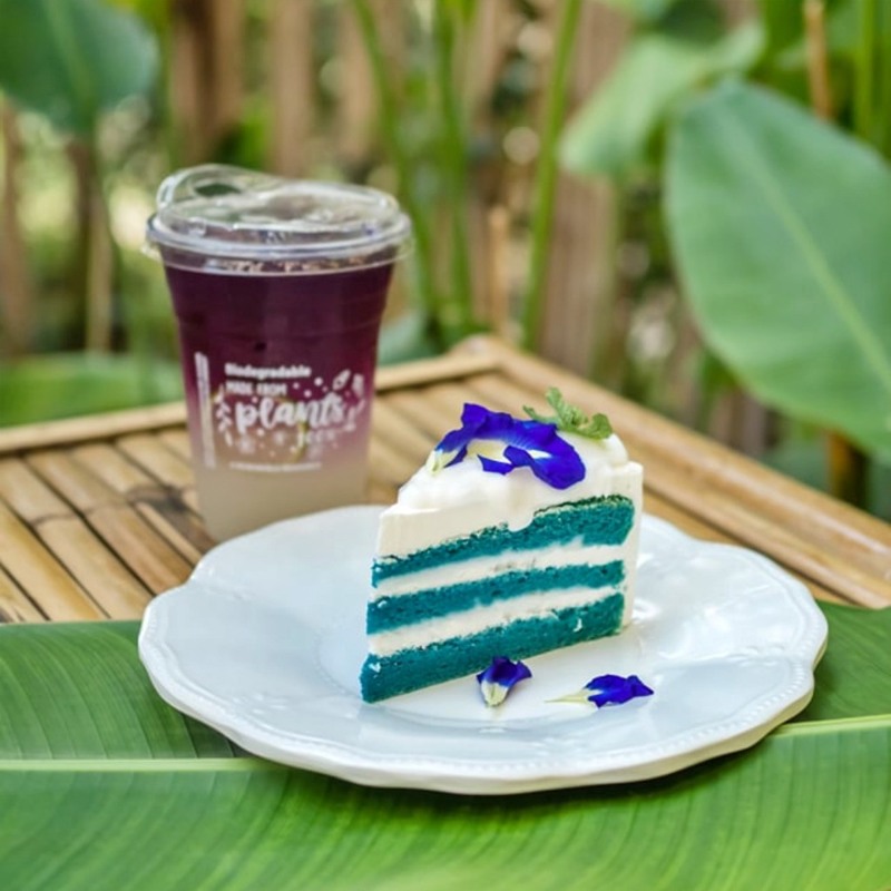 mulberry khaoyai, the birder’s lodge café & grill, yellow submarine coffee tank, ข้าวโพดหวาน ไร่สุวรรณ, ที่เที่ยวเขาใหญ่, ที่เที่ยวเขาใหญ่ 2022, ที่เที่ยวเขาใหญ่ 2023, ที่เที่ยวเขาใหญ่ 2024, ที่เที่ยวเขาใหญ่ 2565, ที่เที่ยวเขาใหญ่ 2566, ที่เที่ยวเขาใหญ่ 2567, ที่เที่ยวเขาใหญ่ ปากช่อง, น้ำตกเหวสุวัต, บ่อน้ำผุด เขาใหญ่, บ้านนอกคอกนา, ปาลิโอ เขาใหญ่, ฟาร์มโชคชัย, สระน้ำผุด ปากช่อง, สระน้ำผุด เขาใหญ่, อุทยานแห่งชาติเขาใหญ่, เขาใหญ่, เขาใหญ่ ที่เที่ยว, เที่ยวเขาใหญ่ 2024, เที่ยวเขาใหญ่ 2567, แรนโช ชาญวีร์ เขาใหญ่, ไร่มัลเบอร์รี่ เขาใหญ่, ไร่สุวรรณ, top 25+ ที่เที่ยวเขาใหญ่ [กรกฎาคม 2024] ถ่ายรูปสวย สไตล์ธรรมชาติ เที่ยวได้ทั้งครอบครัว