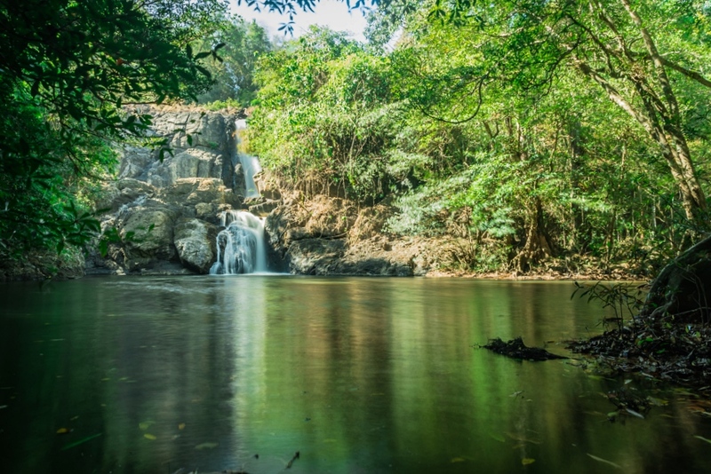 mulberry khaoyai, the birder’s lodge café & grill, yellow submarine coffee tank, ข้าวโพดหวาน ไร่สุวรรณ, ที่เที่ยวเขาใหญ่, ที่เที่ยวเขาใหญ่ 2022, ที่เที่ยวเขาใหญ่ 2023, ที่เที่ยวเขาใหญ่ 2024, ที่เที่ยวเขาใหญ่ 2565, ที่เที่ยวเขาใหญ่ 2566, ที่เที่ยวเขาใหญ่ 2567, ที่เที่ยวเขาใหญ่ ปากช่อง, น้ำตกเหวสุวัต, บ่อน้ำผุด เขาใหญ่, บ้านนอกคอกนา, ปาลิโอ เขาใหญ่, ฟาร์มโชคชัย, สระน้ำผุด ปากช่อง, สระน้ำผุด เขาใหญ่, อุทยานแห่งชาติเขาใหญ่, เขาใหญ่, เขาใหญ่ ที่เที่ยว, เที่ยวเขาใหญ่ 2024, เที่ยวเขาใหญ่ 2567, แรนโช ชาญวีร์ เขาใหญ่, ไร่มัลเบอร์รี่ เขาใหญ่, ไร่สุวรรณ, top 25+ ที่เที่ยวเขาใหญ่ [กรกฎาคม 2024] ถ่ายรูปสวย สไตล์ธรรมชาติ เที่ยวได้ทั้งครอบครัว
