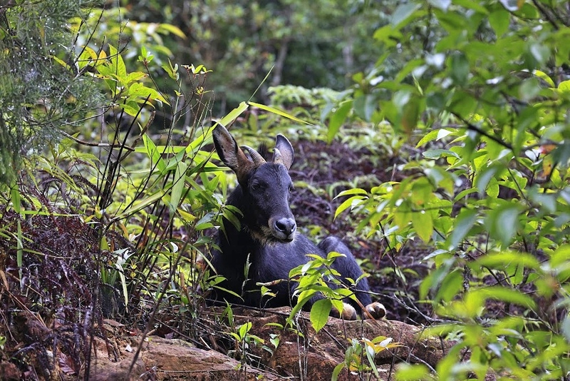 mulberry khaoyai, the birder’s lodge café & grill, yellow submarine coffee tank, ข้าวโพดหวาน ไร่สุวรรณ, ที่เที่ยวเขาใหญ่, ที่เที่ยวเขาใหญ่ 2022, ที่เที่ยวเขาใหญ่ 2023, ที่เที่ยวเขาใหญ่ 2024, ที่เที่ยวเขาใหญ่ 2565, ที่เที่ยวเขาใหญ่ 2566, ที่เที่ยวเขาใหญ่ 2567, ที่เที่ยวเขาใหญ่ ปากช่อง, น้ำตกเหวสุวัต, บ่อน้ำผุด เขาใหญ่, บ้านนอกคอกนา, ปาลิโอ เขาใหญ่, ฟาร์มโชคชัย, สระน้ำผุด ปากช่อง, สระน้ำผุด เขาใหญ่, อุทยานแห่งชาติเขาใหญ่, เขาใหญ่, เขาใหญ่ ที่เที่ยว, เที่ยวเขาใหญ่ 2024, เที่ยวเขาใหญ่ 2567, แรนโช ชาญวีร์ เขาใหญ่, ไร่มัลเบอร์รี่ เขาใหญ่, ไร่สุวรรณ, top 25+ ที่เที่ยวเขาใหญ่ [กรกฎาคม 2024] ถ่ายรูปสวย สไตล์ธรรมชาติ เที่ยวได้ทั้งครอบครัว