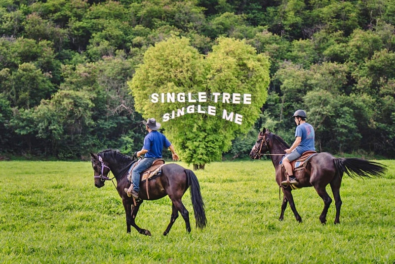 mulberry khaoyai, the birder’s lodge café & grill, yellow submarine coffee tank, ข้าวโพดหวาน ไร่สุวรรณ, ที่เที่ยวเขาใหญ่, ที่เที่ยวเขาใหญ่ 2022, ที่เที่ยวเขาใหญ่ 2023, ที่เที่ยวเขาใหญ่ 2024, ที่เที่ยวเขาใหญ่ 2565, ที่เที่ยวเขาใหญ่ 2566, ที่เที่ยวเขาใหญ่ 2567, ที่เที่ยวเขาใหญ่ ปากช่อง, น้ำตกเหวสุวัต, บ่อน้ำผุด เขาใหญ่, บ้านนอกคอกนา, ปาลิโอ เขาใหญ่, ฟาร์มโชคชัย, สระน้ำผุด ปากช่อง, สระน้ำผุด เขาใหญ่, อุทยานแห่งชาติเขาใหญ่, เขาใหญ่, เขาใหญ่ ที่เที่ยว, เที่ยวเขาใหญ่ 2024, เที่ยวเขาใหญ่ 2567, แรนโช ชาญวีร์ เขาใหญ่, ไร่มัลเบอร์รี่ เขาใหญ่, ไร่สุวรรณ, top 25+ ที่เที่ยวเขาใหญ่ [กรกฎาคม 2024] ถ่ายรูปสวย สไตล์ธรรมชาติ เที่ยวได้ทั้งครอบครัว