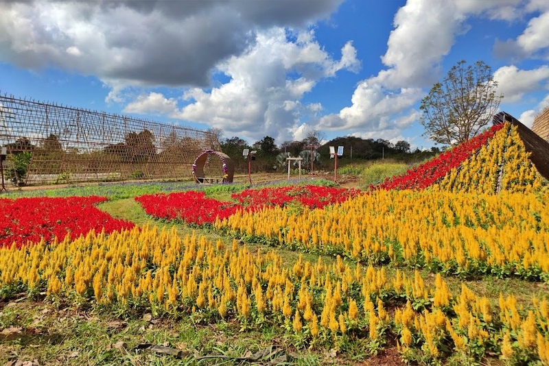 mulberry khaoyai, the birder’s lodge café & grill, yellow submarine coffee tank, ข้าวโพดหวาน ไร่สุวรรณ, ที่เที่ยวเขาใหญ่, ที่เที่ยวเขาใหญ่ 2022, ที่เที่ยวเขาใหญ่ 2023, ที่เที่ยวเขาใหญ่ 2024, ที่เที่ยวเขาใหญ่ 2565, ที่เที่ยวเขาใหญ่ 2566, ที่เที่ยวเขาใหญ่ 2567, ที่เที่ยวเขาใหญ่ ปากช่อง, น้ำตกเหวสุวัต, บ่อน้ำผุด เขาใหญ่, บ้านนอกคอกนา, ปาลิโอ เขาใหญ่, ฟาร์มโชคชัย, สระน้ำผุด ปากช่อง, สระน้ำผุด เขาใหญ่, อุทยานแห่งชาติเขาใหญ่, เขาใหญ่, เขาใหญ่ ที่เที่ยว, เที่ยวเขาใหญ่ 2024, เที่ยวเขาใหญ่ 2567, แรนโช ชาญวีร์ เขาใหญ่, ไร่มัลเบอร์รี่ เขาใหญ่, ไร่สุวรรณ, top 25+ ที่เที่ยวเขาใหญ่ [กรกฎาคม 2024] ถ่ายรูปสวย สไตล์ธรรมชาติ เที่ยวได้ทั้งครอบครัว
