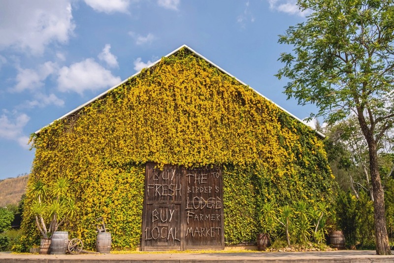 mulberry khaoyai, the birder’s lodge café & grill, yellow submarine coffee tank, ข้าวโพดหวาน ไร่สุวรรณ, ที่เที่ยวเขาใหญ่, ที่เที่ยวเขาใหญ่ 2022, ที่เที่ยวเขาใหญ่ 2023, ที่เที่ยวเขาใหญ่ 2024, ที่เที่ยวเขาใหญ่ 2565, ที่เที่ยวเขาใหญ่ 2566, ที่เที่ยวเขาใหญ่ 2567, ที่เที่ยวเขาใหญ่ ปากช่อง, น้ำตกเหวสุวัต, บ่อน้ำผุด เขาใหญ่, บ้านนอกคอกนา, ปาลิโอ เขาใหญ่, ฟาร์มโชคชัย, สระน้ำผุด ปากช่อง, สระน้ำผุด เขาใหญ่, อุทยานแห่งชาติเขาใหญ่, เขาใหญ่, เขาใหญ่ ที่เที่ยว, เที่ยวเขาใหญ่ 2024, เที่ยวเขาใหญ่ 2567, แรนโช ชาญวีร์ เขาใหญ่, ไร่มัลเบอร์รี่ เขาใหญ่, ไร่สุวรรณ, top 25+ ที่เที่ยวเขาใหญ่ [กรกฎาคม 2024] ถ่ายรูปสวย สไตล์ธรรมชาติ เที่ยวได้ทั้งครอบครัว
