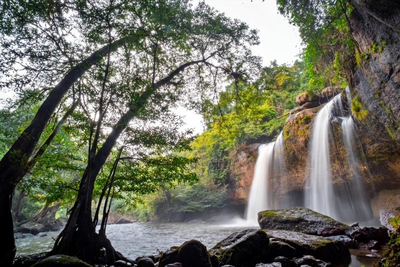 mulberry khaoyai, the birder’s lodge café & grill, yellow submarine coffee tank, ข้าวโพดหวาน ไร่สุวรรณ, ที่เที่ยวเขาใหญ่, ที่เที่ยวเขาใหญ่ 2022, ที่เที่ยวเขาใหญ่ 2023, ที่เที่ยวเขาใหญ่ 2024, ที่เที่ยวเขาใหญ่ 2565, ที่เที่ยวเขาใหญ่ 2566, ที่เที่ยวเขาใหญ่ 2567, ที่เที่ยวเขาใหญ่ ปากช่อง, น้ำตกเหวสุวัต, บ่อน้ำผุด เขาใหญ่, บ้านนอกคอกนา, ปาลิโอ เขาใหญ่, ฟาร์มโชคชัย, สระน้ำผุด ปากช่อง, สระน้ำผุด เขาใหญ่, อุทยานแห่งชาติเขาใหญ่, เขาใหญ่, เขาใหญ่ ที่เที่ยว, เที่ยวเขาใหญ่ 2024, เที่ยวเขาใหญ่ 2567, แรนโช ชาญวีร์ เขาใหญ่, ไร่มัลเบอร์รี่ เขาใหญ่, ไร่สุวรรณ, top 25+ ที่เที่ยวเขาใหญ่ [กรกฎาคม 2024] ถ่ายรูปสวย สไตล์ธรรมชาติ เที่ยวได้ทั้งครอบครัว
