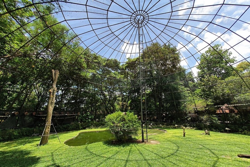 mulberry khaoyai, the birder’s lodge café & grill, yellow submarine coffee tank, ข้าวโพดหวาน ไร่สุวรรณ, ที่เที่ยวเขาใหญ่, ที่เที่ยวเขาใหญ่ 2022, ที่เที่ยวเขาใหญ่ 2023, ที่เที่ยวเขาใหญ่ 2024, ที่เที่ยวเขาใหญ่ 2565, ที่เที่ยวเขาใหญ่ 2566, ที่เที่ยวเขาใหญ่ 2567, ที่เที่ยวเขาใหญ่ ปากช่อง, น้ำตกเหวสุวัต, บ่อน้ำผุด เขาใหญ่, บ้านนอกคอกนา, ปาลิโอ เขาใหญ่, ฟาร์มโชคชัย, สระน้ำผุด ปากช่อง, สระน้ำผุด เขาใหญ่, อุทยานแห่งชาติเขาใหญ่, เขาใหญ่, เขาใหญ่ ที่เที่ยว, เที่ยวเขาใหญ่ 2024, เที่ยวเขาใหญ่ 2567, แรนโช ชาญวีร์ เขาใหญ่, ไร่มัลเบอร์รี่ เขาใหญ่, ไร่สุวรรณ, top 25+ ที่เที่ยวเขาใหญ่ [กรกฎาคม 2024] ถ่ายรูปสวย สไตล์ธรรมชาติ เที่ยวได้ทั้งครอบครัว