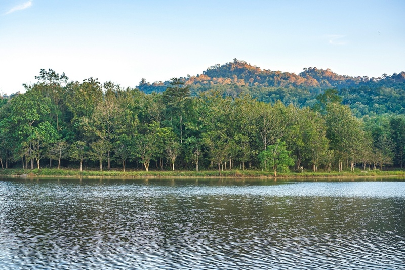 mulberry khaoyai, the birder’s lodge café & grill, yellow submarine coffee tank, ข้าวโพดหวาน ไร่สุวรรณ, ที่เที่ยวเขาใหญ่, ที่เที่ยวเขาใหญ่ 2022, ที่เที่ยวเขาใหญ่ 2023, ที่เที่ยวเขาใหญ่ 2024, ที่เที่ยวเขาใหญ่ 2565, ที่เที่ยวเขาใหญ่ 2566, ที่เที่ยวเขาใหญ่ 2567, ที่เที่ยวเขาใหญ่ ปากช่อง, น้ำตกเหวสุวัต, บ่อน้ำผุด เขาใหญ่, บ้านนอกคอกนา, ปาลิโอ เขาใหญ่, ฟาร์มโชคชัย, สระน้ำผุด ปากช่อง, สระน้ำผุด เขาใหญ่, อุทยานแห่งชาติเขาใหญ่, เขาใหญ่, เขาใหญ่ ที่เที่ยว, เที่ยวเขาใหญ่ 2024, เที่ยวเขาใหญ่ 2567, แรนโช ชาญวีร์ เขาใหญ่, ไร่มัลเบอร์รี่ เขาใหญ่, ไร่สุวรรณ, top 25+ ที่เที่ยวเขาใหญ่ [กรกฎาคม 2024] ถ่ายรูปสวย สไตล์ธรรมชาติ เที่ยวได้ทั้งครอบครัว