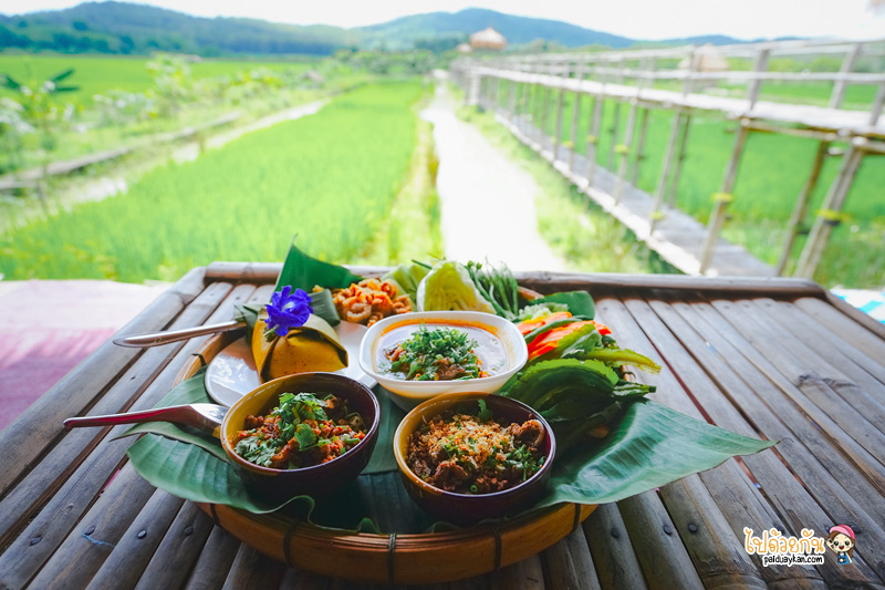 บ้านไร่9ไม้&ฟาร์มคาเฟ่, คาเฟ่เชียงแสน, ร้านอาหารเชียงแสน, บ้านไร่9ไม้ & ฟาร์มคาเฟ่ เชียงแสน