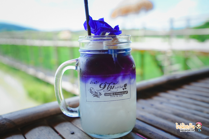 บ้านไร่9ไม้&ฟาร์มคาเฟ่, คาเฟ่เชียงแสน, ร้านอาหารเชียงแสน, บ้านไร่9ไม้ & ฟาร์มคาเฟ่ เชียงแสน