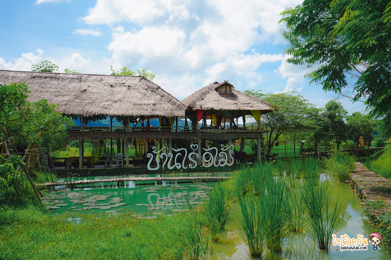 บ้านไร่9ไม้&ฟาร์มคาเฟ่, คาเฟ่เชียงแสน, ร้านอาหารเชียงแสน, บ้านไร่9ไม้ & ฟาร์มคาเฟ่ เชียงแสน