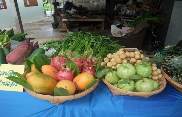 top 6+ บุฟเฟ่ต์ผลไม้+ทุเรียนไม่อั้น ทานได้ทั้งหมด เพราะสดชื่น (อัปเดต 9/06/63)