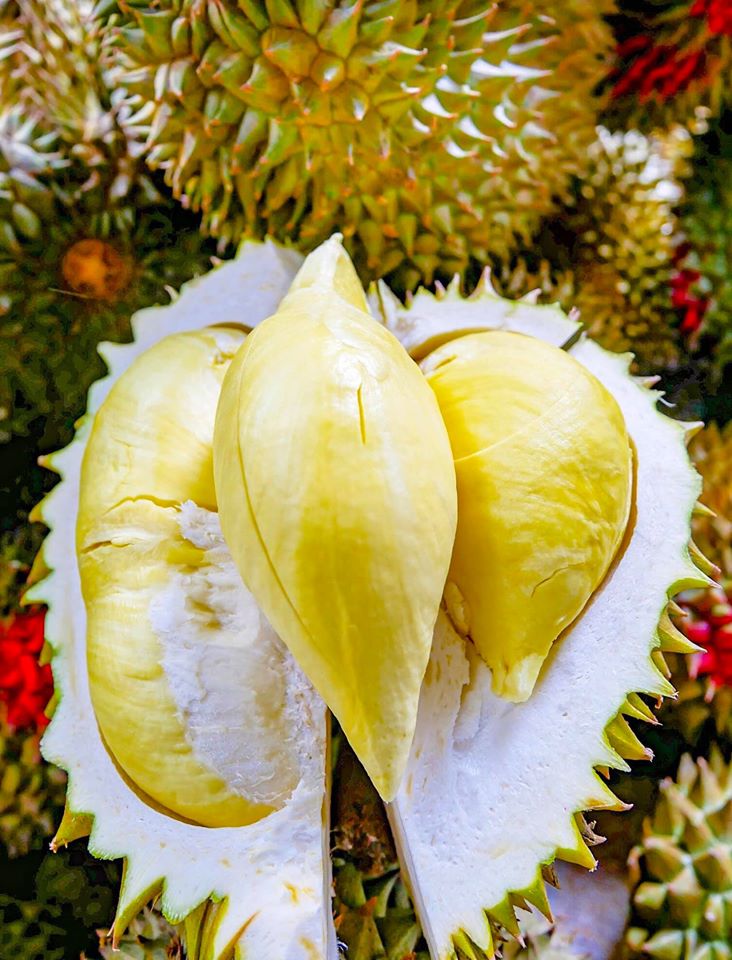 top 6+ บุฟเฟ่ต์ผลไม้+ทุเรียนไม่อั้น ทานได้ทั้งหมด เพราะสดชื่น (อัปเดต 9/06/63)