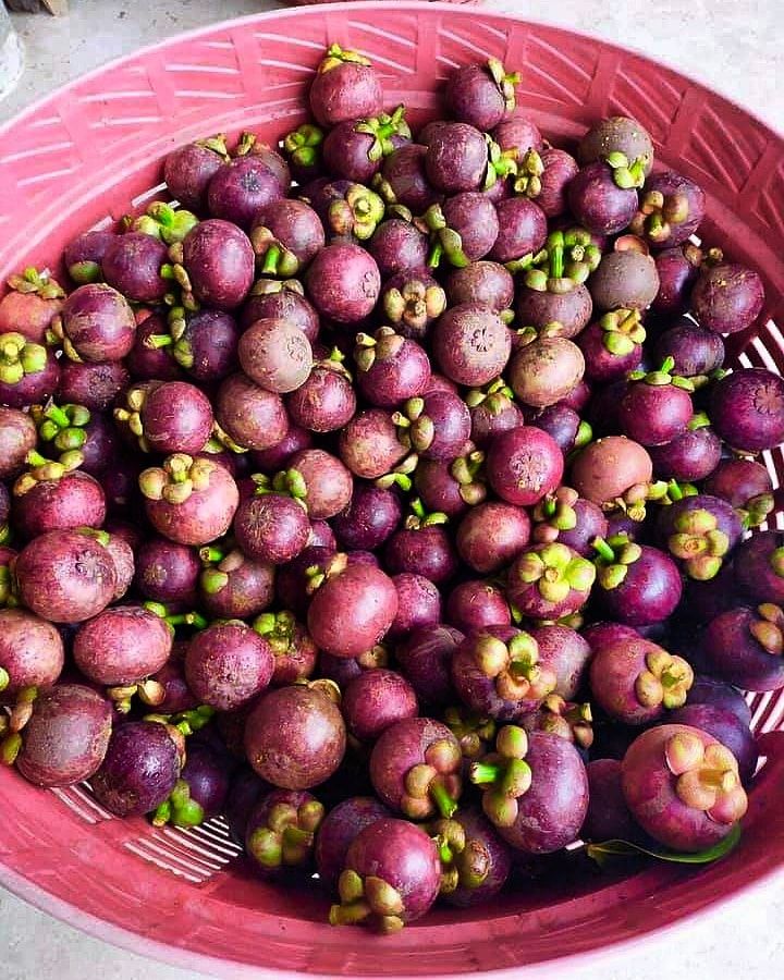 top 6+ บุฟเฟ่ต์ผลไม้+ทุเรียนไม่อั้น ทานได้ทั้งหมด เพราะสดชื่น (อัปเดต 9/06/63)