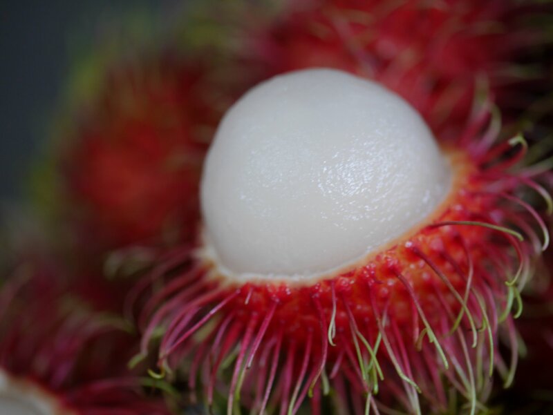 top 6+ บุฟเฟ่ต์ผลไม้+ทุเรียนไม่อั้น ทานได้ทั้งหมด เพราะสดชื่น (อัปเดต 9/06/63)