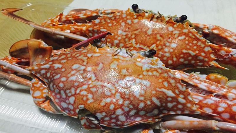 ”ร้านแดกหัวมันส์” ตลาดหัวมุม กุ้งแม่น้ำเนื้อเด้ง มันเยิ้มๆ