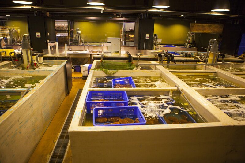 abc mart, beams, chiang kai-shek, chun shui tang, daan, daxi old street, easycard, fujin street, huashan 1914 creative park, jin feng braised pork rice, longshan temple, maokong gondola, memorial hall, michelin guide, miyahara ice cream, national palace museum, rainbow 6, shilin, shilin night market, sun yat-sen, taipei, taipei 101, taipei fish market, taipei zoo, xiao wulai skywalk, ximending, yongkang beef noodle, zhengbin fishing harbor, zhinan temple station, กระเช้าเมาคง, ก๋วยเตี๋ยวเนื้อ, ของกินซีเหมินติง, ขอพรวัดหลงซาน, ข้าวหน้าหมูตุ๋น, งานศิลปะ, จินเฟิงหลู่โร่วฟั่น, จีหลง, ช้อปปิ้งไต้หวัน, ชานมไข่มุก, ชุนชุ่ยถาง, ซีเหมินติง, ซื่อหลินไนท์มาร์เก็ต, ตลาดชุมชนเก่าต้าซี, ตลาดปลาไทเป, ถนนสายรุ้ง, ถนนสายรุ้งหมายเลข 6, ท่าเรือสีรุ้ง, ที่เที่ยวไต้หวัน, พิพิธภัณฑ์พระราชวังแห่งชาติ, มิยาฮาร่า, ย่านซีเหมินติง, วัดฉือจี้, วัดหลงซาน, สวนสัตว์ไทเป, สะพานลอยฟ้า, สาธารณรัฐจีน, หยกผักกาด, หยกหมูสามชั้น, อนุสรณ์สถานเจียงไคเช็ค, อนุสรณ์สถานแห่งชาติ, อ่างเก็บน้ำ, เกาสง, เกี๊ยวซอสพริก, เจดีย์มังกรเสือ, เจียงไคเช็ค, เถาหยวน, เที่ยวไต้หวัน, เที่ยวไต้หวัน 2024, เที่ยวไต้หวัน 2567, เที่ยวไทเป 2024, เที่ยวไทเป 2567, เมืองยอดนิยมในไต้หวัน, เสี่ยวอูไหล, ไต้หวัน, ไต้หวัน2024, ไต้หวันเที่ยวไหนดี, ไทจง, ไทเป, ไทเป101, top 30+ ที่เที่ยวไต้หวัน สตรีทฟู๊ดเจ้าดัง ช้อปปิ้งสบาย [อัปเดต 2024]