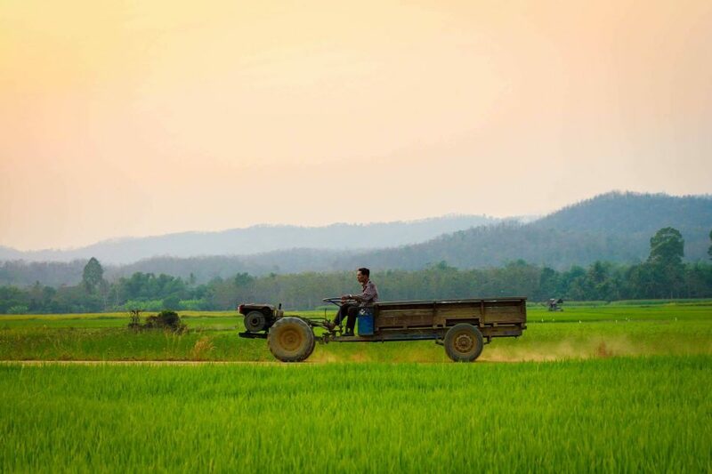 โฮมสเตย์บ้านนาต้นจั่น ที่พักวิวทุ่งนาแบบฉบับโฮมสเตย์