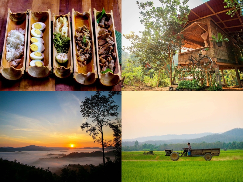 โฮมสเตย์บ้านนาต้นจั่น ที่พักวิวทุ่งนาแบบฉบับโฮมสเตย์