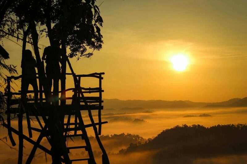 โฮมสเตย์บ้านนาต้นจั่น ที่พักวิวทุ่งนาแบบฉบับโฮมสเตย์