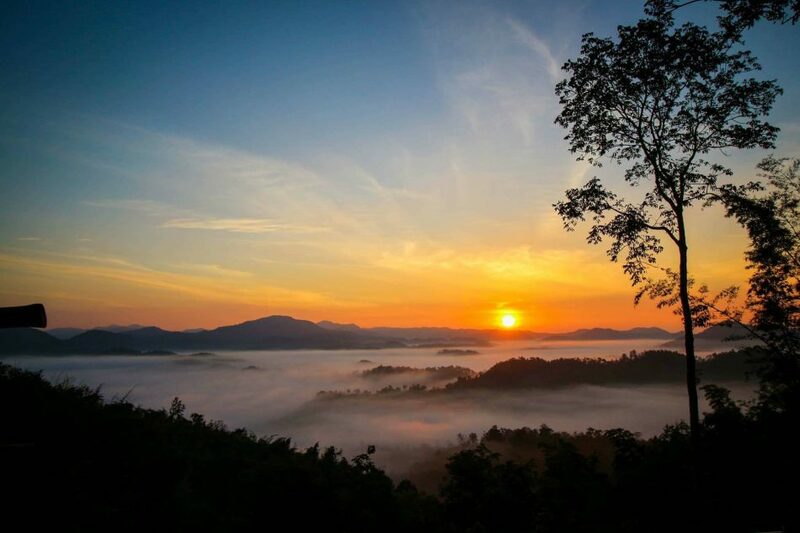 โฮมสเตย์บ้านนาต้นจั่น ที่พักวิวทุ่งนาแบบฉบับโฮมสเตย์